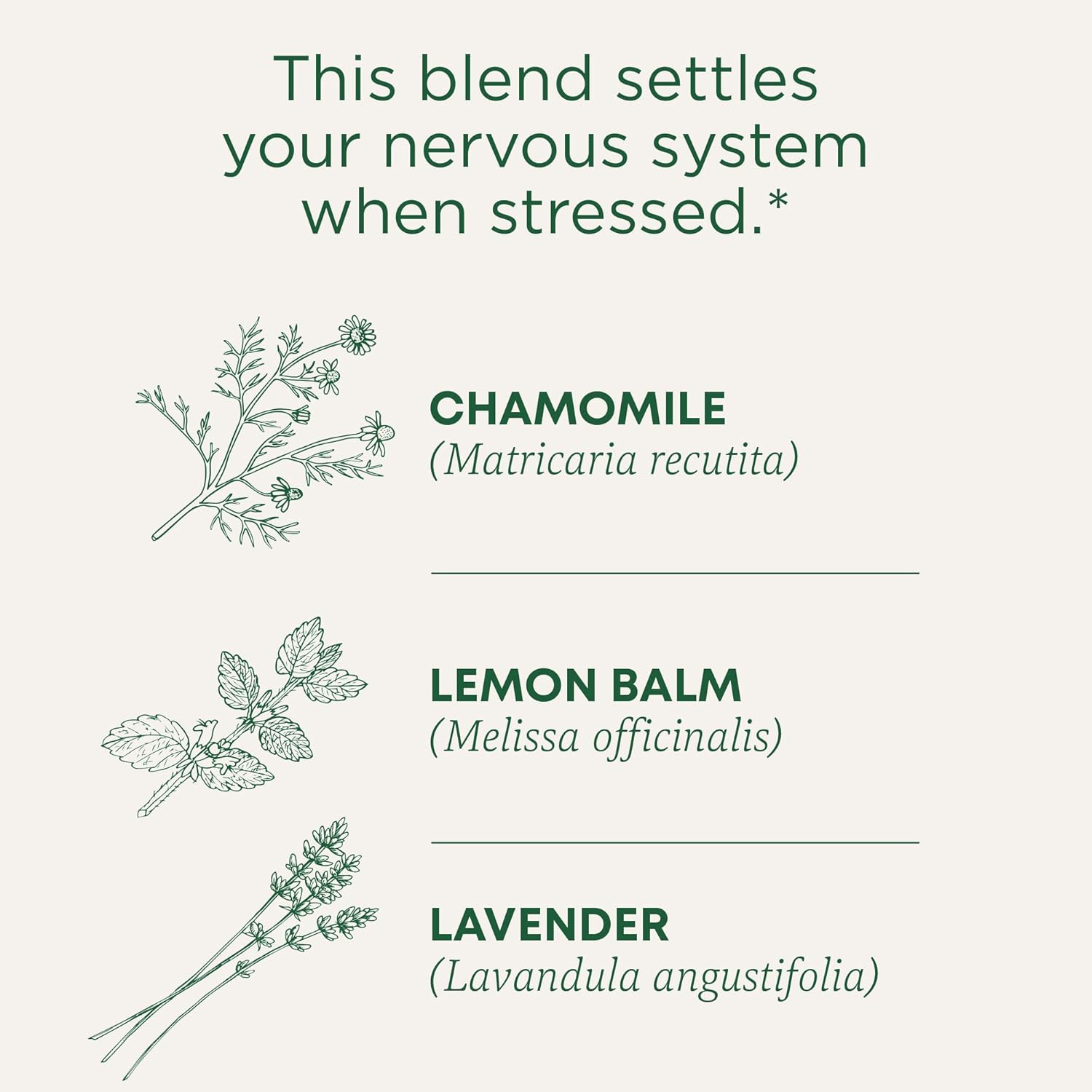Traditional Medicinals Heřmánek Levandule - obrázek 4